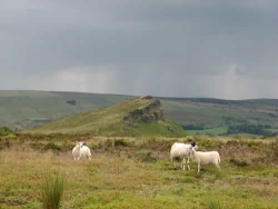 Hen Cloud from Five Clouds